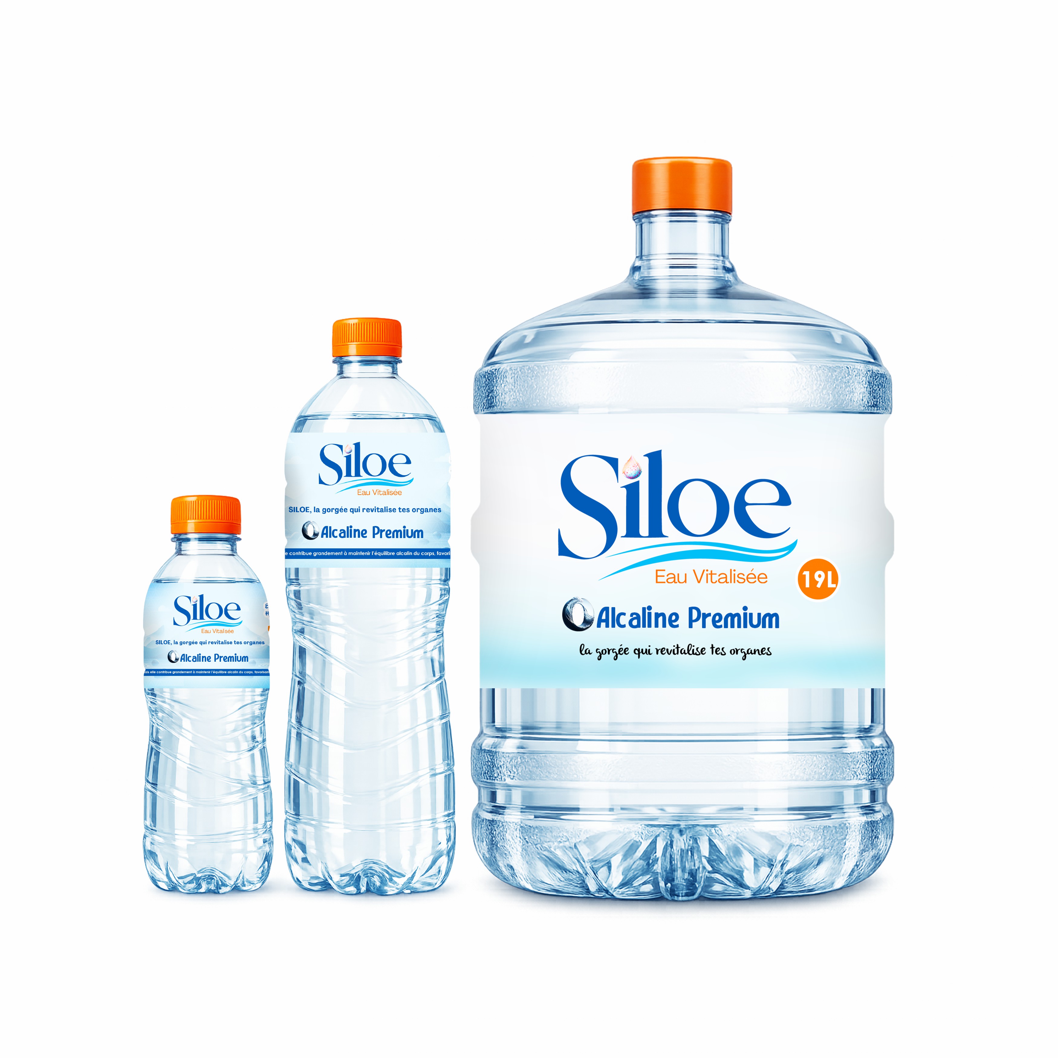 Siloe — visuel 5